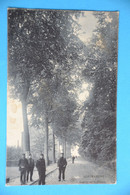 Cortenberg 1907: Avenue De La Station Très Animée Avec Cantoniers ? - Diksmuide