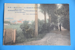 Scherpenheuvel - Montaigu 1909: Le Chemin Du Rosaire Et Le Couvent, Animée Et En Couleurs - Scherpenheuvel-Zichem