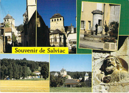 46 - Salviac - Multivues - Salviac