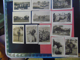 Cp Expedition Citroen Centre Afrique La Croisiere Noire  2 Eme Mission Haardt Audouin Dubreuil Lot 12 Cartes - Otros & Sin Clasificación