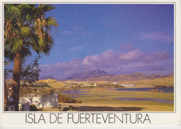 (CANA1657) FUERTEVENTURA. COSTA CALMA - Fuerteventura