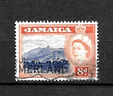 LOTE 2217 ///   JAMAICA BRITANICA - ¡¡¡ OFERTA - LIQUIDATION - JE LIQUIDE !!! - Giamaica (...-1961)