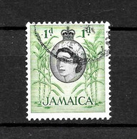 LOTE 2217 ///  JAMAICA BRITANICA  ¡¡¡ OFERTA - LIQUIDATION - JE LIQUIDE !!! - Jamaïque (...-1961)