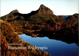 (6 A 11) Australia - TAS - 17 X 12 Cm -  Tasmania - Wilderness - Wilderness