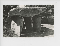 Le Dolmen De Lan Kérellec - Trébeurden (cp Vierge éd Stoll) - Dolmen & Menhirs