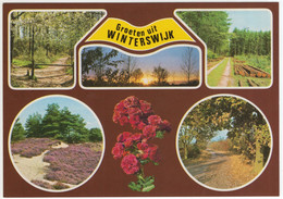 Groeten Uit Winterswijk  - Natuur - (Nederland / Holland) - Nr. 742 - Winterswijk