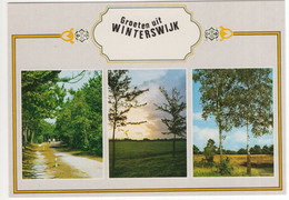 Groeten Uit Winterswijk  - Bomen, Natuur - (Nederland / Holland) - Nr. 794 - Winterswijk