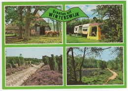 Groeten Uit Winterswijk  - Bospaden, Camping, Paarden, Stal - (Nederland / Holland) - Nr. 762 - Winterswijk
