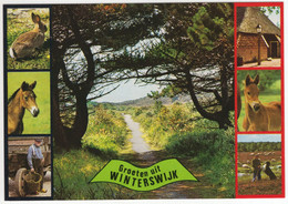 Groeten Uit Winterswijk - Natuur, Dieren, Bospad - (Nederland / Holland) - Nr. 793 - Winterswijk