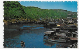 (RECTO / VERSO) PETTY HARBOUR EN 1976 - CANADA - NEWFOUNDLAND - BEAUX TIMBRES - FORMAT CPA - Altri & Non Classificati