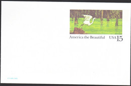 Amerika 1989, Postcard Unused, Bird - 1981-00