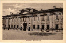 CPA AK MANTOVA Palazzo D'Arco ITALY (396405) - Mantova
