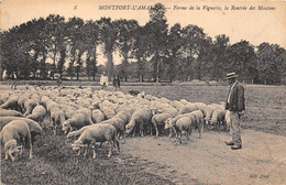 78-MONTFORT-L'AMAURY- FERME DE LA VIGNETTE, LA RENTRÉE DES MOUTONS - Montfort L'Amaury