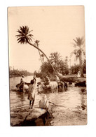 14182 " L'ABBEVERATOIO IN PIENO ONED(TORRENTE)-ZONA SCONOSCIUTA " ANIMATA-VERA FOTO -CARTOLINA POSTALE NON SPEDITA - Afrique