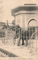 France (13 Marseille) - Jardin Zoologique - L'Eléphant - Parks, Gärten