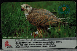 HUNGARY 2001 PHONECARD BIRDS USED VF!! - Arenden & Roofvogels