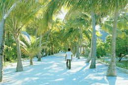 LANKAN FINOLU - A Visitors Dream - Maldives