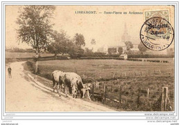 SAINT - PIERRE  ..-- LIBRAMONT ..-- MILITARIA .  1916 Vers ETTERBEEK ( Mr Henri DEBERGH ) . Voir Verso . - Libramont-Chevigny