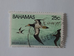 N° 482       Fou Brun  -  Oiseau  -  Oblitéré - Bahamas (1973-...)