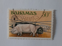 N° 491       Journée Mondiale De L' Alimentation  -  Oblitéré - Bahamas (1973-...)