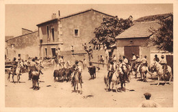 13 - Les Saintes-Maries-de-la-Mer - " Bandido " - Lâcher Des Taureaux Après La Course - Saintes Maries De La Mer