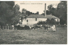 YERRES  -  FERME  DE  LA  GRANGE  /  Vaches - Yerres