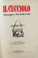 Il Cucciolo  Di M. K. Rawlings,  1956,  Bompiani - ER1 - Adolescents