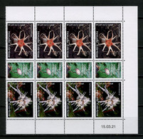 Nlle CALEDONIE 2021 N° 1405/1406 ** Bloc De 4 Coin Daté Neuf MNH Superbe Flore Champignons Mushrooms Aseroe - Unused Stamps