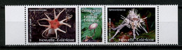 Nlle CALEDONIE 2021 N° 1405/1406 ** Neuf MNH Superbe Flore Champignons Mushrooms Aseroe Arachnoidea - Unused Stamps