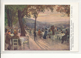 AK Klosterneuburg - Blick V. Terrasse D. Stiftskellers, Verl. B.K.W.I. Ca.1915 - Klosterneuburg