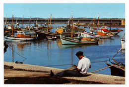 Portugal Algarve Portimao Barcos De Pesca * Fishing Boats * Bateaux De Peche - Pesca
