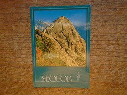 états-unis , Sequoia National Park , Moro Rock In Autumn Overlooks - Kings Canyon