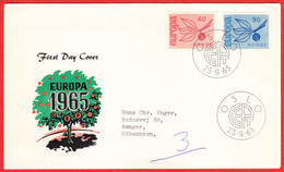 NORWAY FDC 1965 «Europe CEPT» NK# 566-67 - Mi# 532-33 Cacheted Cover - Storia Postale