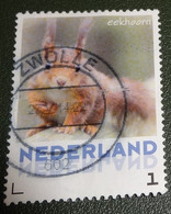 Nederland - NVPH - 3013-Aa-11 - Zoogdieren - 2013 - Persoonlijke Gebruikt - Eekhoorn - Francobolli Personalizzati