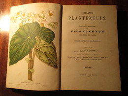 Neerlands Plantentuin - Sierplanten Voor Tuin En Kamer - Door C. Oudemans - 1865 - Deel 1 - Bloemen - Antique