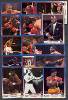 AÑO 1991 , LOTE DE CROMOS #1 , TEMA BOXEO , BOXING , BOXEN , BOX , FIGHT ,  GRAN LOTE - Otros & Sin Clasificación