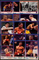 AÑO 1991 , LOTE DE CROMOS # 3 , TEMA BOXEO , BOXING , BOXEN , BOX , FIGHT ,  GRAN LOTE - Altri & Non Classificati