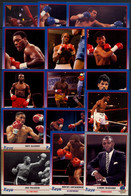 AÑO 1991 , LOTE DE CROMOS # 4 , TEMA BOXEO , BOXING , BOXEN , BOX , FIGHT ,  GRAN LOTE - Otros & Sin Clasificación