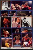 AÑO 1991 , LOTE DE CROMOS # 8 , TEMA BOXEO , BOXING , BOXEN , BOX , FIGHT ,  GRAN LOTE - Other & Unclassified