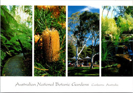 (6 A 16) Australia - ACT - Canberra (National Botanic Gardens) - Canberra (ACT)