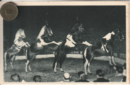 Très Belle Carte Postale Ancienne De LA PYRAMIDE A QUATRE CHEVAUX  Présentée Par ALEXIS GRUSS - Chevaux