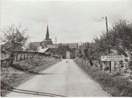 Cpsm 10x15. (61) Ste MARGUERITE DE CARROUGES ( 219 H) Entrée Du Bourg (Panneau Indicateur D 29) - Sonstige & Ohne Zuordnung