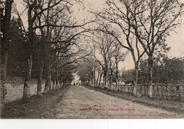 CPA   72   BRULON---AVENUE DES FRESNES - Brulon