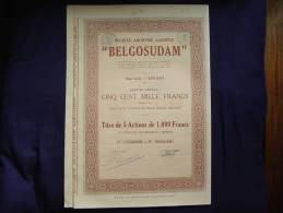 Titre De 5 Actions "BELGOSUDAM "1929 S.Soc.Verviers Excellent état - Textil