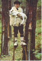 CPSM 40 La Lande Groupe Landais Lous Cadetouns  Dans La Forêt Landaise Un Jeune Berger A Secouru Un Petit Agneau - Personnages