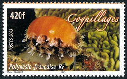 POLYNESIE 2003 - Yv. 695 **   Faciale= 3,53 EUR - Faune. Coquillages  ..Réf.POL26550 - Unused Stamps