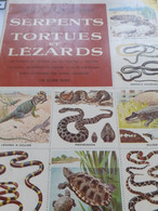 Serpents Tortues Et Lézards Encyclopédie Par Le Timbre H.M.SMITH éditions Des Deux Coqs D'or 1958 - Encyclopédies