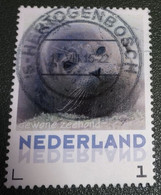 Nederland - NVPH - 3013-Aa-15 - Zoogdieren - 2013 - Persoonlijke Gebruikt - Gewone Zeehond - Personalisierte Briefmarken
