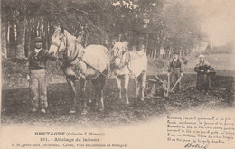 BRETAGNE ( France )  -  Attelage De Labour  ( Poème De Botrel )     Karten Bost - Teams