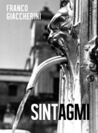 Sintagmi 2  Di Franco Giaccherini,  2019,  Youcanprint - ER - Arts, Architecture